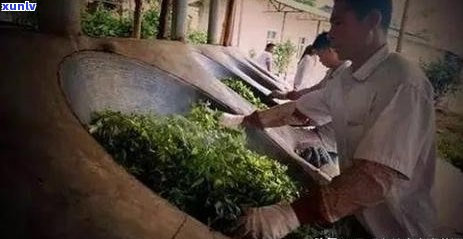 普洱茶传统制茶工艺：杀青与搓揉技巧详解