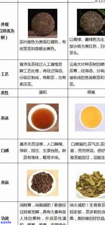 《普洱生熟茶饮对比：了解如何鉴别和选择适合您的茶类》