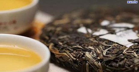 云南舍得普洱茶饼价格查询