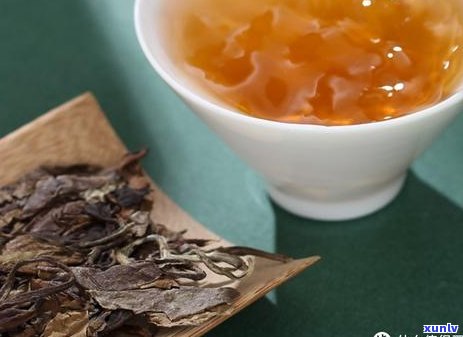 冰岛老树茶厂：探索自然精华，体验传统制茶艺术