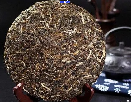 如何选择优质的普洱茶饼：全面指南