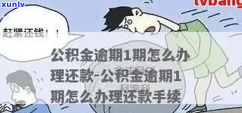 公积金本金逾期怎么办