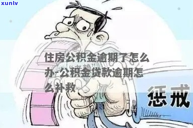 公积金本金逾期怎么办