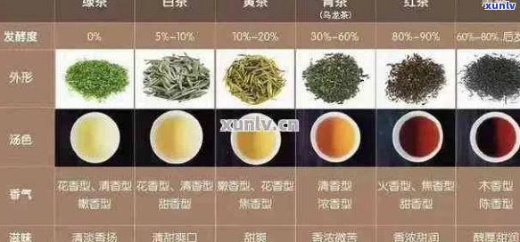 新普洱茶与其他六大茶类比较指南