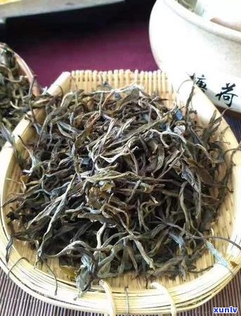 普洱茶与其他六大茶种的区别与特点概述