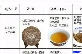 普洱茶鉴指南：全面了解不同类型、产地及年份普洱茶的特点与区分