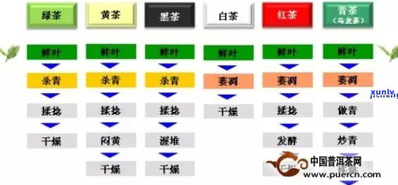 普洱茶鉴指南：全面了解不同类型、产地及年份普洱茶的特点与区分