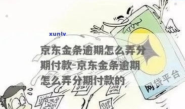 京东金条借款十个月逾期怎么办