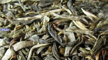 普文茶厂最新茶叶价格一览表