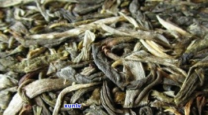 普文茶厂最新茶叶价格一览表