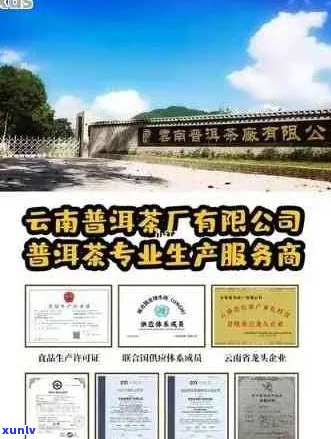 云南普文茶厂官网 *** 信息，提供普文茶厂茶叶价格查询。