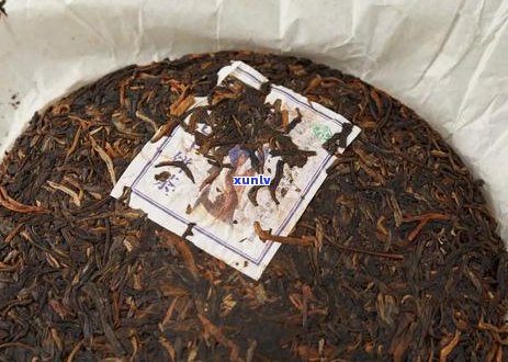 普文茶厂2006年特制系列茶叶新品发布