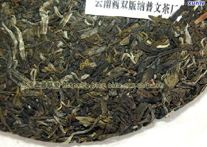 普文茶厂2006年特制系列茶叶新品发布