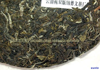 普文茶厂2006年特制系列茶叶新品发布