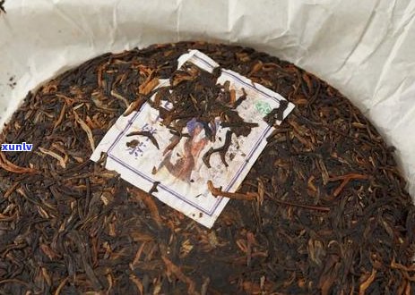 普文茶厂2006年特制系列茶叶新品发布