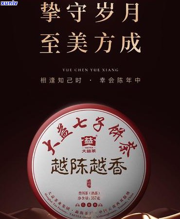 品鉴指南：木普洱茶的独特魅力及其品质分析