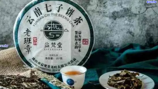 老班章普洱茶：品质与市场定位全面解析