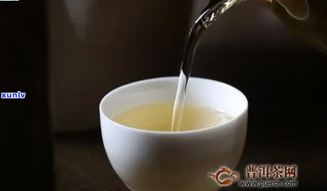 探索老班章普洱茶：特点与口感体验