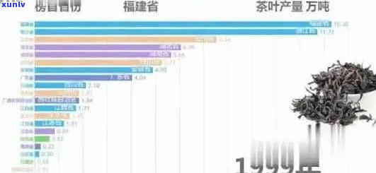 普洱茶爱好者遍布何处？