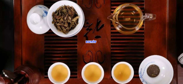 哪些喝普洱茶