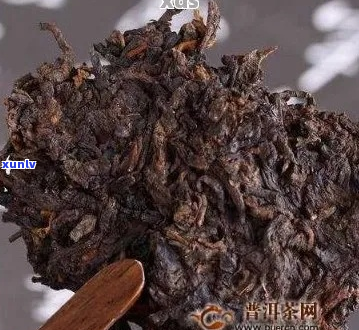 普洱熟茶的长期价值及其对普洱茶爱好者吸引力的探讨