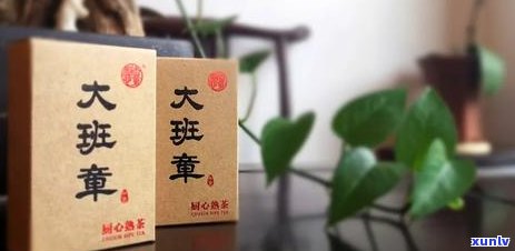 探索普洱茶熟茶的陈化魅力，了解其随时间增值之道