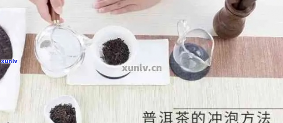 普洱茶的冲泡量建议：一次使用几克？