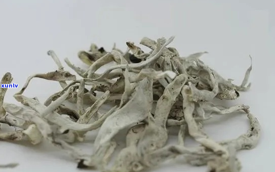 '白雪茶：传统茶饮的好处与注意事项'