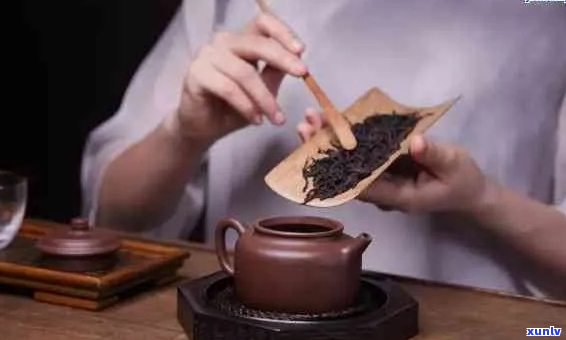 如何正确煮茶：从选茶到品鉴的完整过程