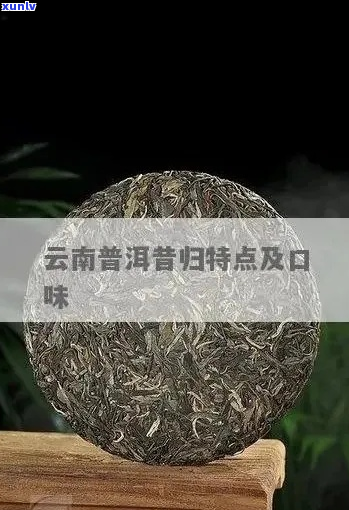 昔归普洱茶的特点与鉴