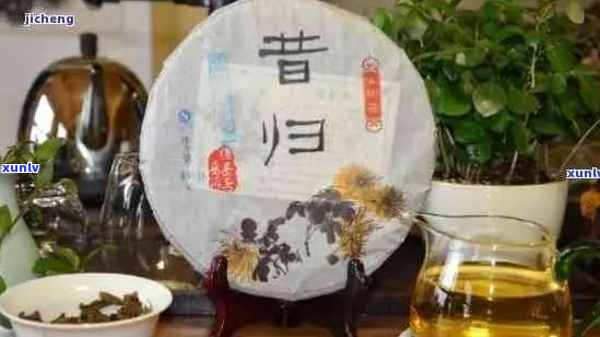 【全面解析】昔归普洱茶的历、文化与品鉴指南