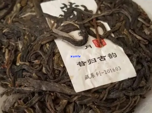 【全面解析】昔归普洱茶的历、文化与品鉴指南