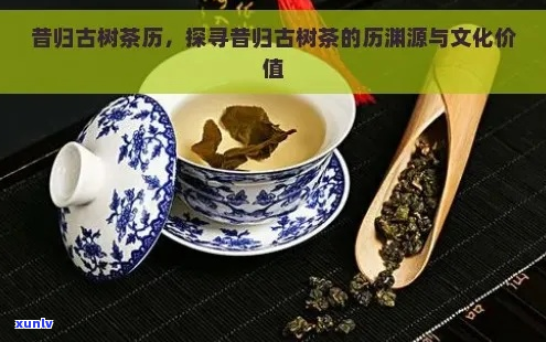 【全面解析】昔归普洱茶的历、文化与品鉴指南