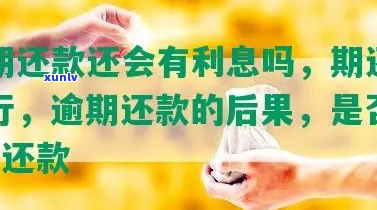 协商期内还款还会有什么影响