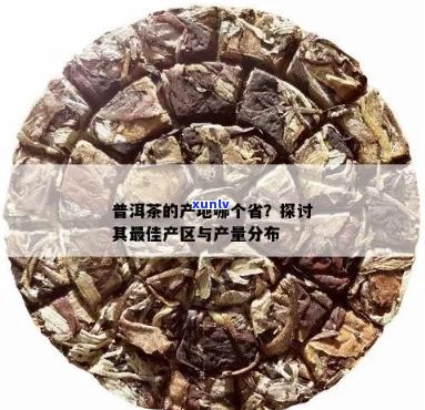 普洱茶产量与分布：探秘石头含量丰富的茶区