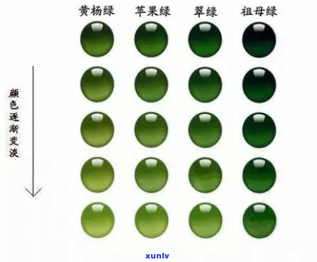 翡翠的绿色分类与鉴赏指南：从宝石级到收藏级的全面解析