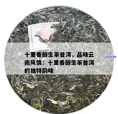 十里亭普洱茶怎么样