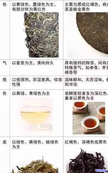 普洱茶柔口感的全面解析与体验指南