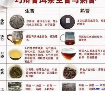 普洱茶柔口感的全面解析与体验指南