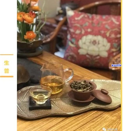 红茶饮用后的口干舌燥现象解析