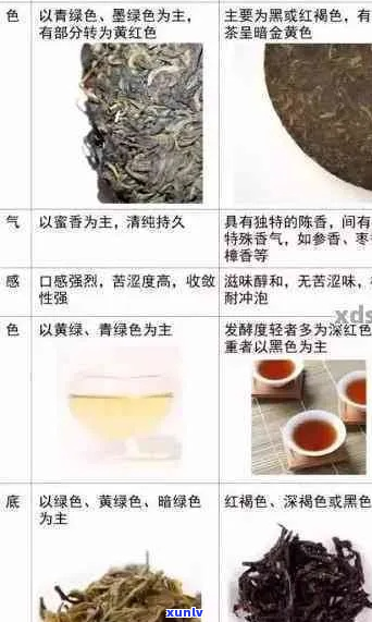 探索地道勐海风味：深入了解正宗普洱茶的鉴与品饮指南