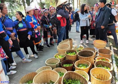 新勐海味普洱茶市场分析及价格指南