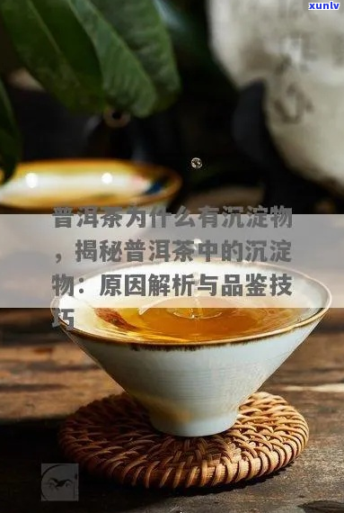 普洱茶冲泡后的沉淀物分析与去除技巧