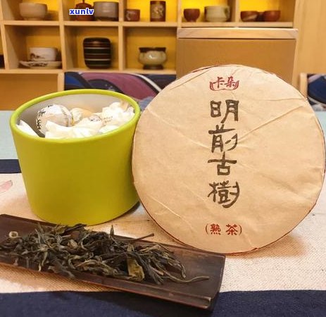 普洱茶生茶斗茶赛