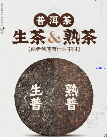 普洱茶能去寒气