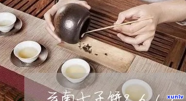 七饼子普洱茶直播