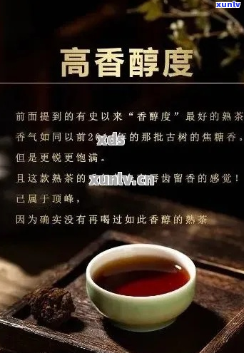 《樟香普洱茶：品鉴与文化深度解析》