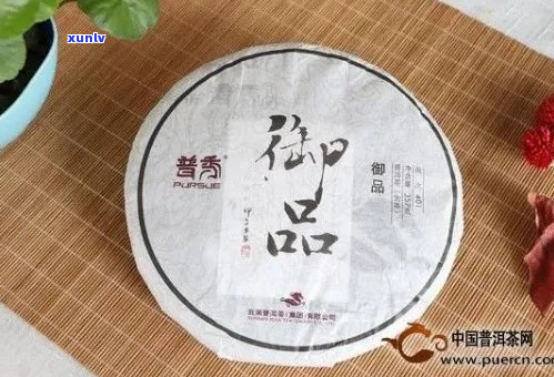 《樟香普洱茶：品鉴与文化深度解析》