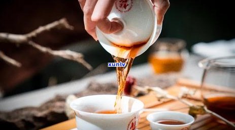 樟香普洱茶：揭秘其独特香气的形成之谜