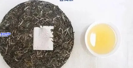 樟香普洱茶与普通普洱茶的全面对比指南